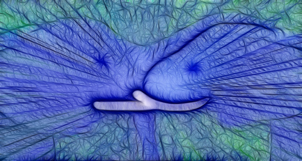 Freunde(Digital)