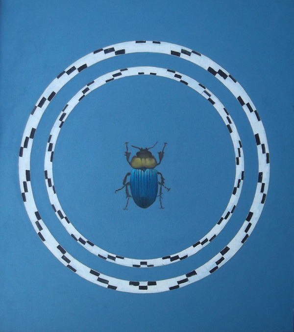 Mistkäfer 2 - Skarabaeus