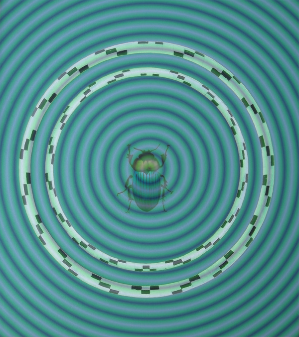 Mistkäfer 2 - Skarabaeus