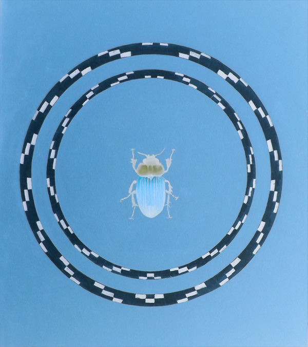 Mistkäfer 2 - Skarabaeus