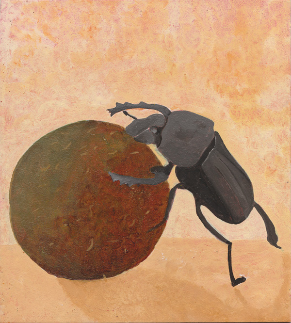 Mistkäfer - Skarabaeus