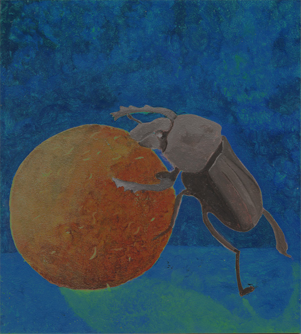 Mistkäfer - Skarabaeus