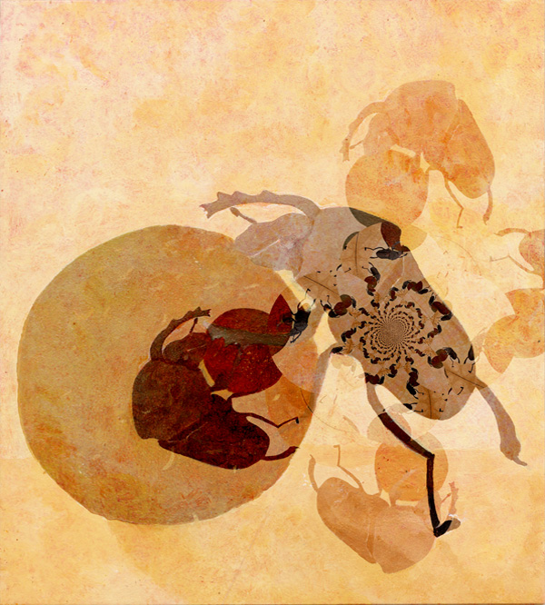 Mistkäfer - Skarabaeus