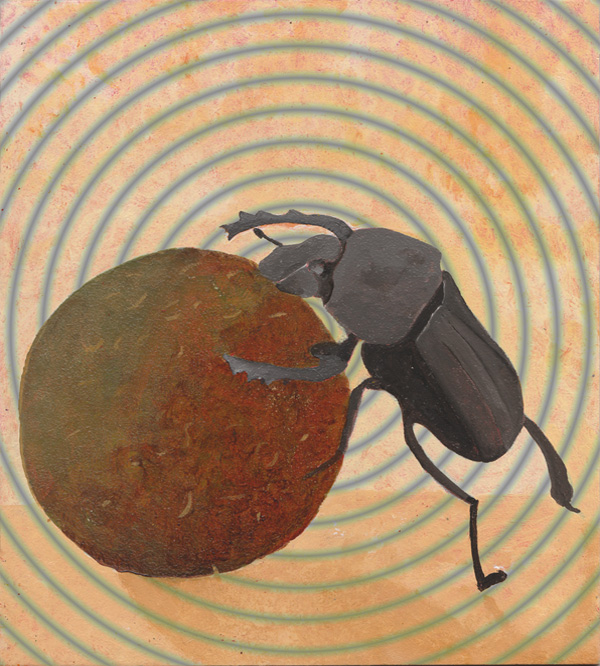 Mistkäfer - Skarabaeus