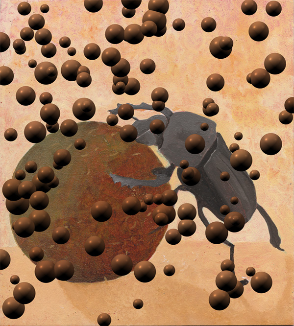 Mistkäfer - Skarabaeus